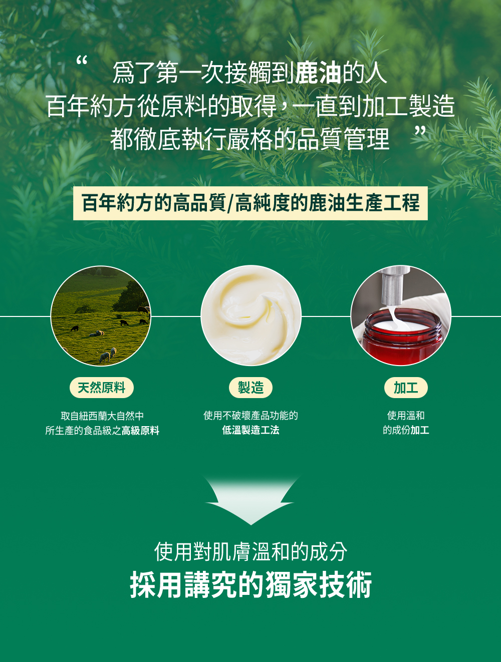 004-網頁切圖_鹿油乳霜-08