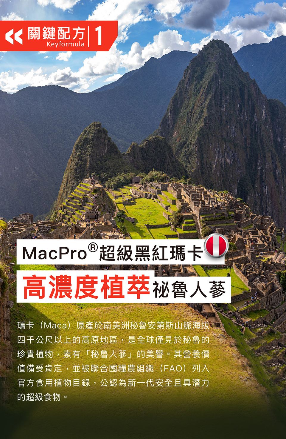 4711467523761-960-03