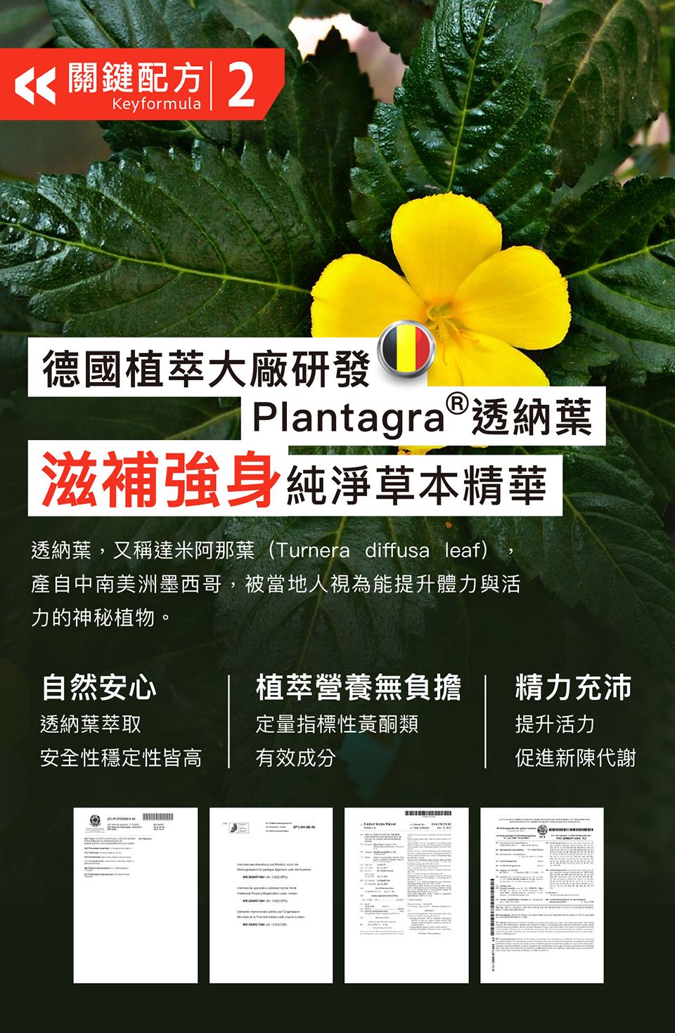 4711467523761-960-06