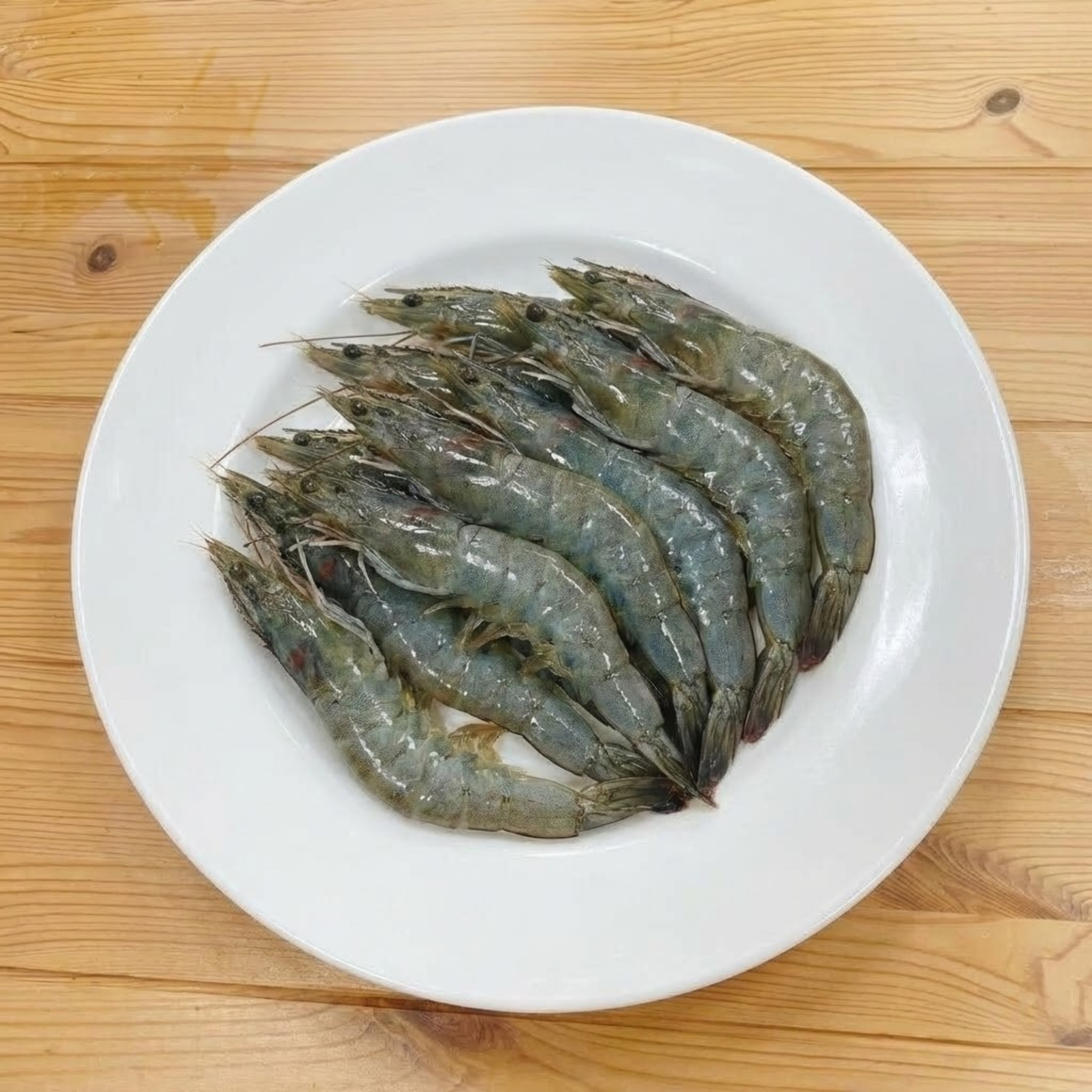 03_台東海水白蝦_0