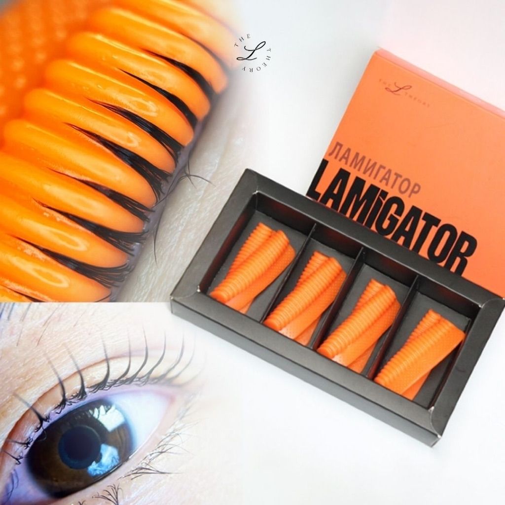 image_104E44E6-A2BB-4226-805B-C5F0AA019551_1768879343