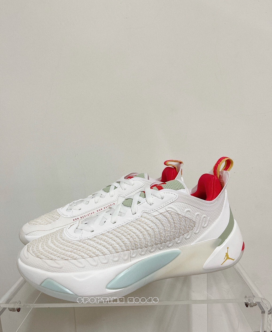 NIKE、Jordan、Luka 1 PF、ルカ1 PF、29.5センチ luka1 ルカ1 ルカ1 Jordan Luka 1 PF JORDAN LUKA 1 PF ジョーダン ルカ1