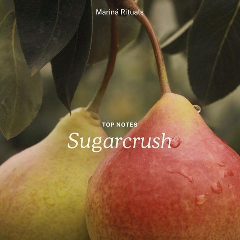 d6d25019c6194011a906a36f8d7b1e7f~tplv-aphluv4xwc-origin-jpeg