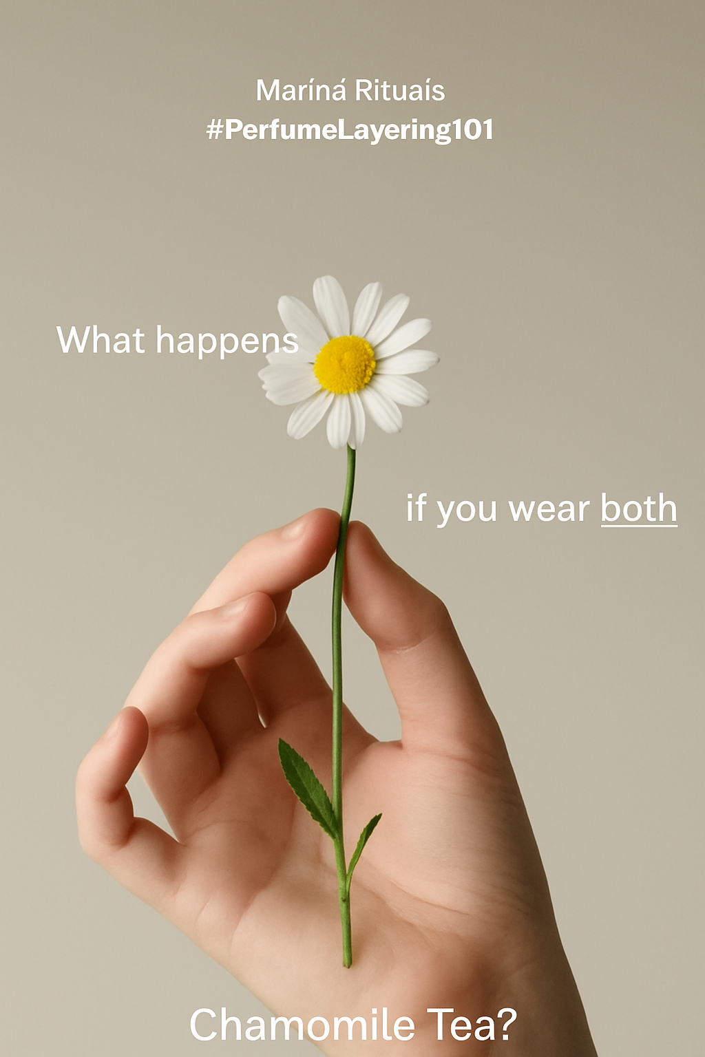 5641b33c-8427-4ee9-8a50-b2e135b14ac8