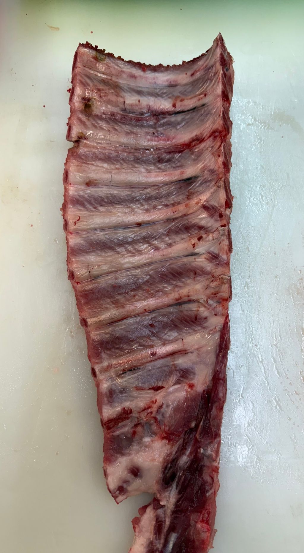 3DF233DC-0810-42BF-B05B-28CBDE641EB9