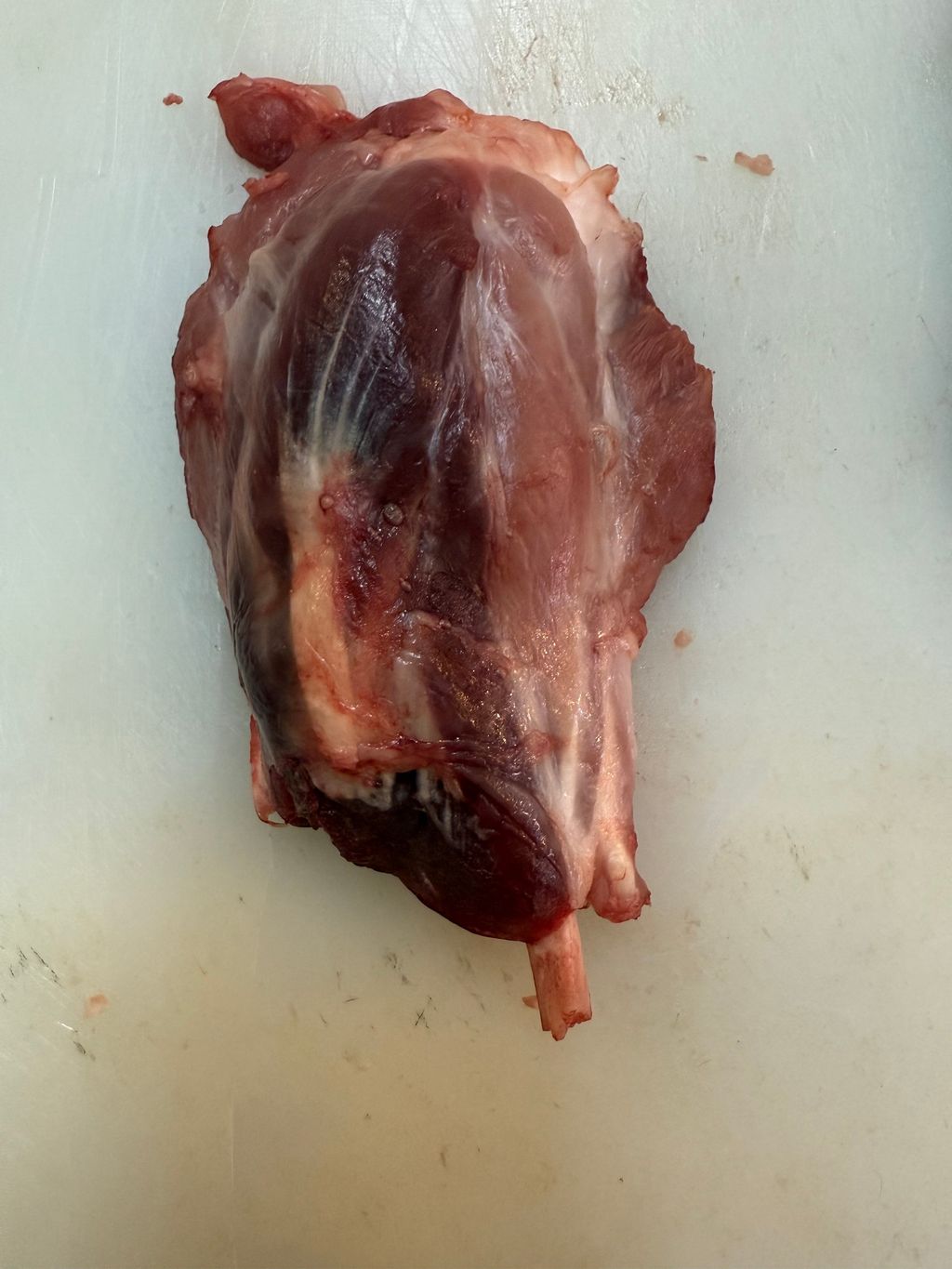 image_BE6831C2-81A0-4FCC-9556-33E47AABF52D_1760438295