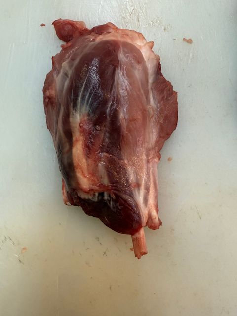 image_BE6831C2-81A0-4FCC-9556-33E47AABF52D_1760438295