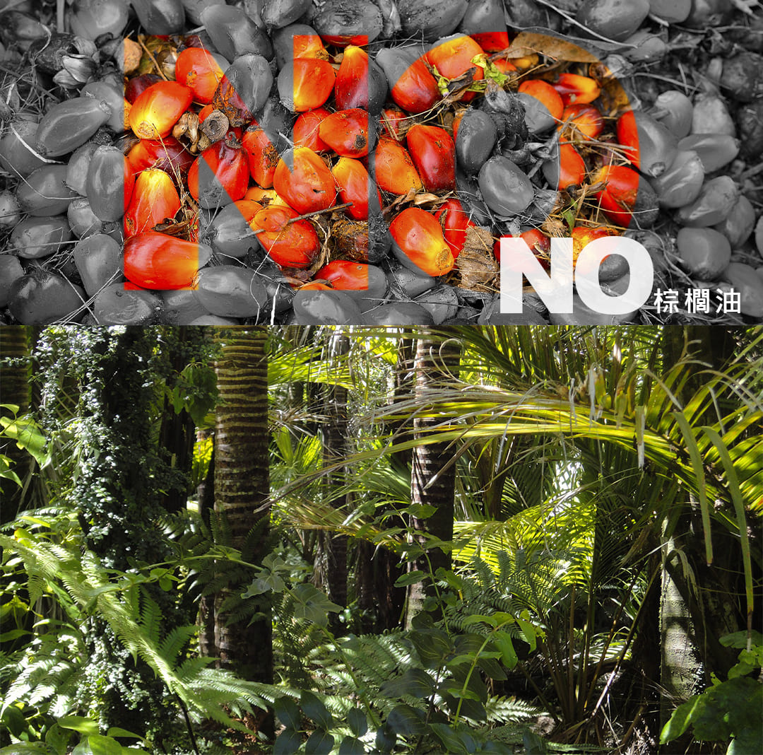 無棕櫚油成分手工皂守護熱帶雨林