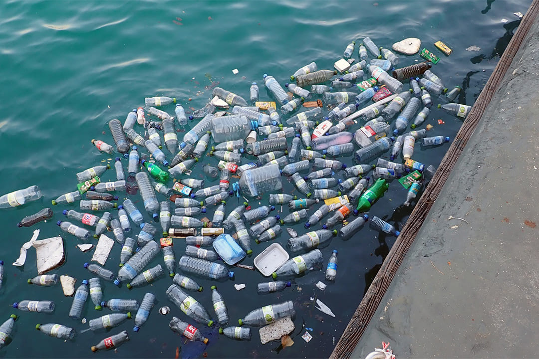 海面上漂浮著廢棄寶特瓶