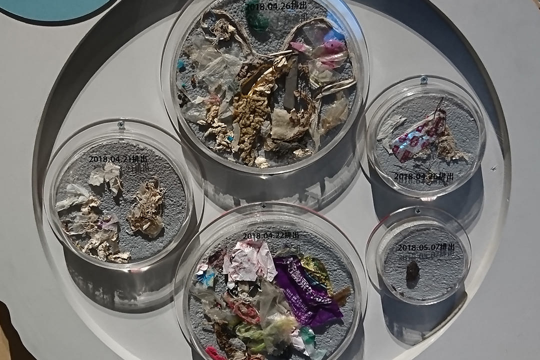 科博館展出綠蠵龜胃部的人造垃圾