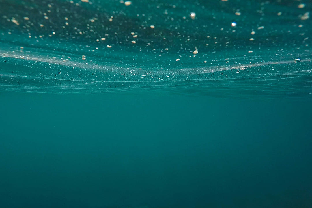 海洋裡有許多能製造氧氣的浮游植物