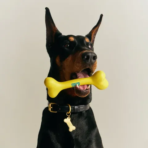 image_A146DF66-58A2-46B9-90F3-9F907D1DBC94_1777199718