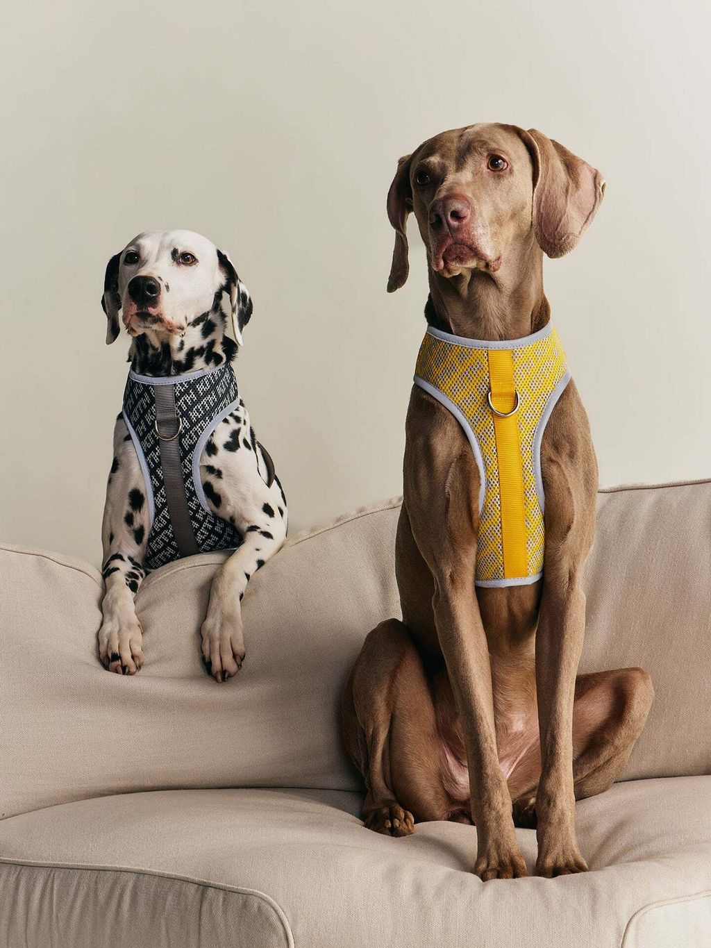 image_66678F96-2605-460F-8420-435DDD269698_1777199718