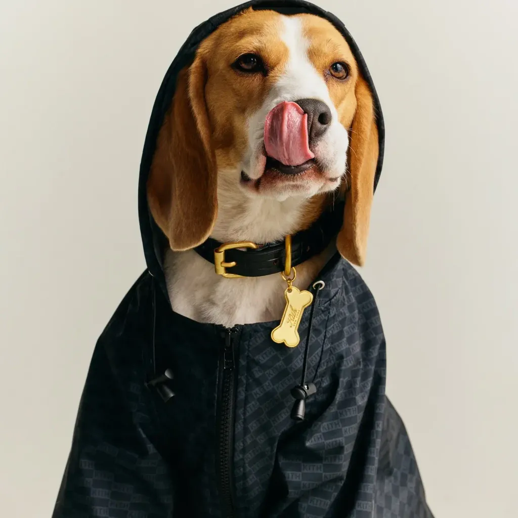 image_B9A34A86-785E-424D-9152-CCF60536E505_1777199718