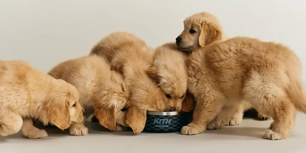 image_B41361B6-F2AA-4DFF-985E-A2E42426CC35_1777199718