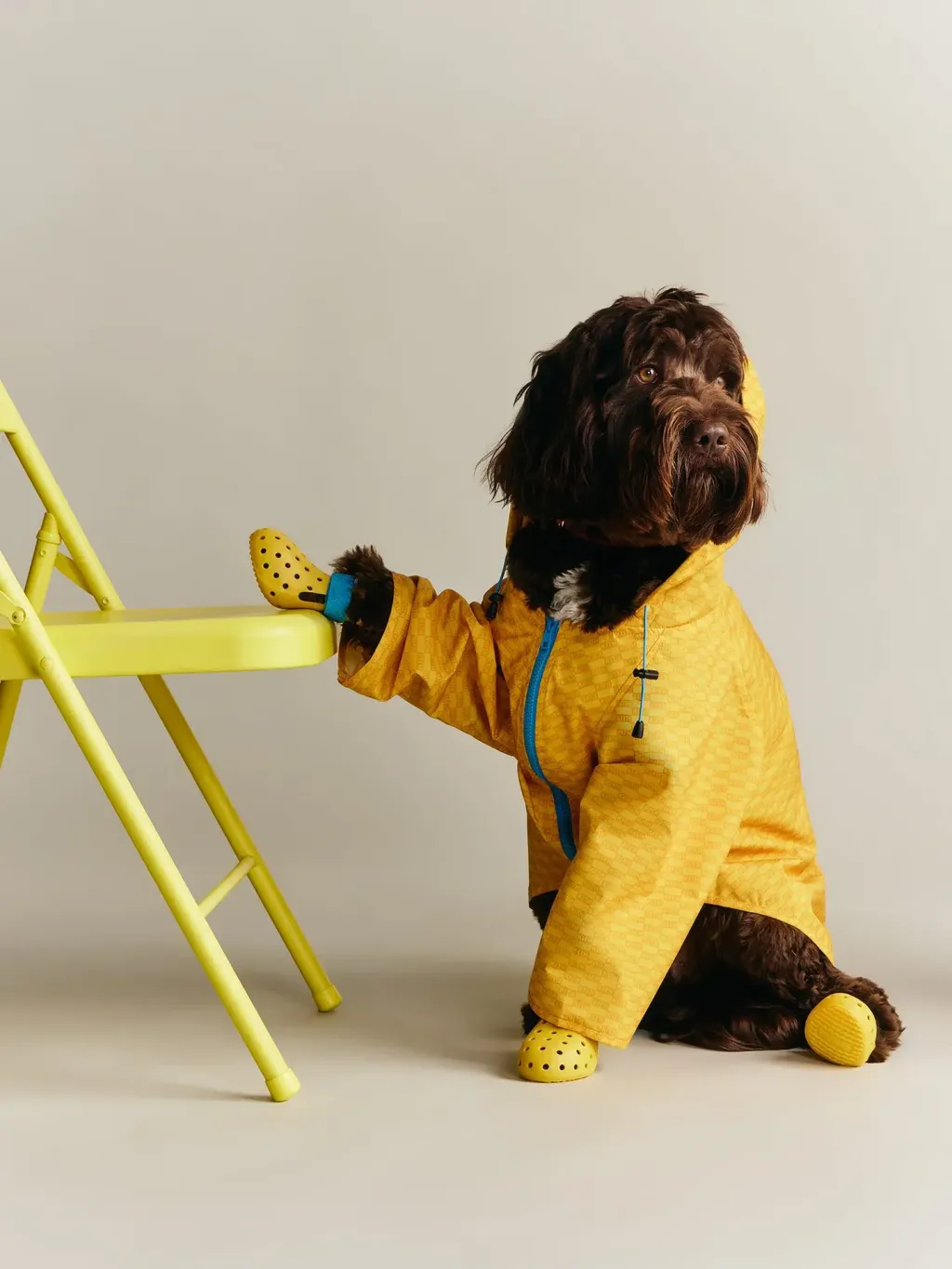 image_BB6AC96F-511C-4E22-9811-3F1066ABD5EE_1777199718