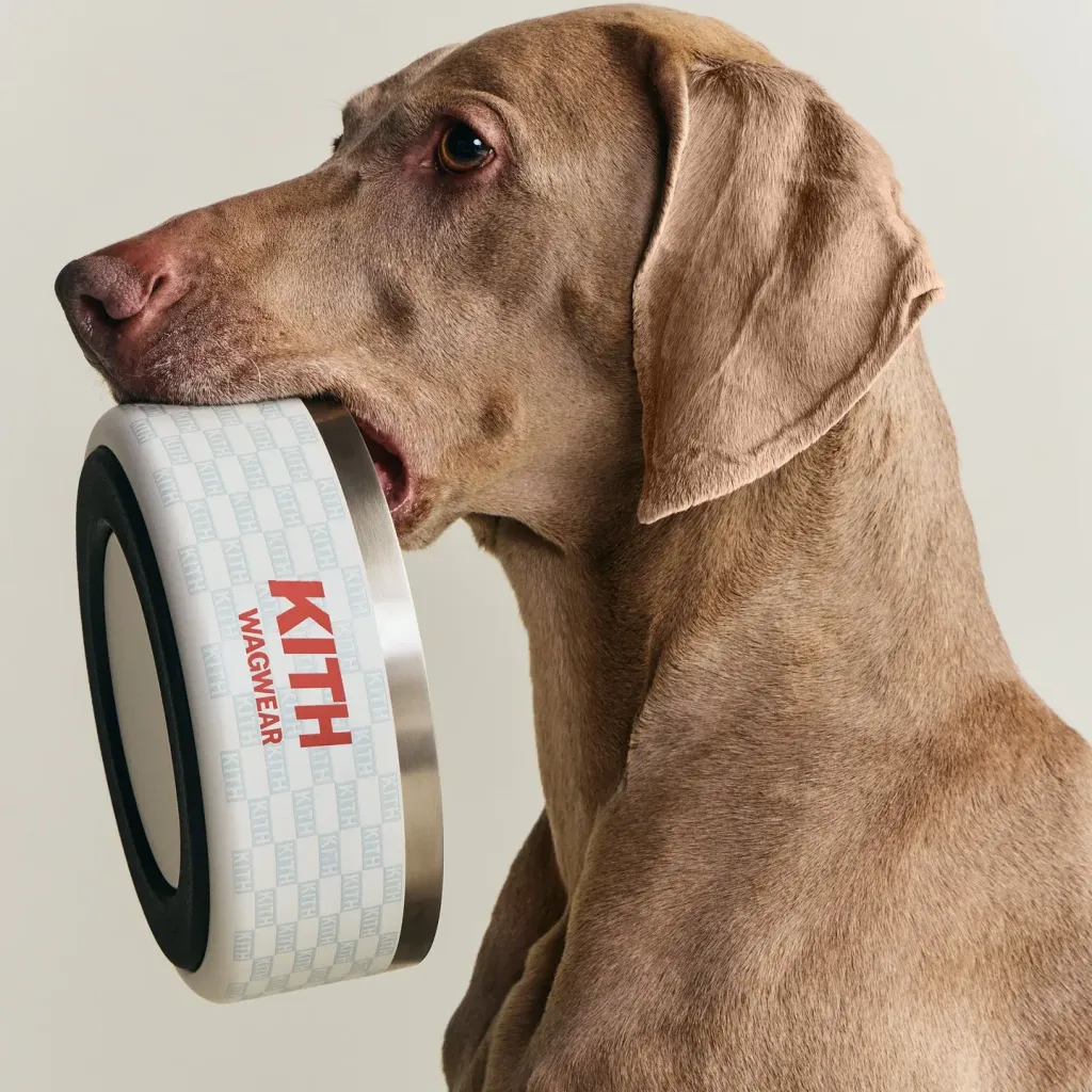 image_0985A29C-1879-4BE5-AAD1-2816D41F1B26_1777199718