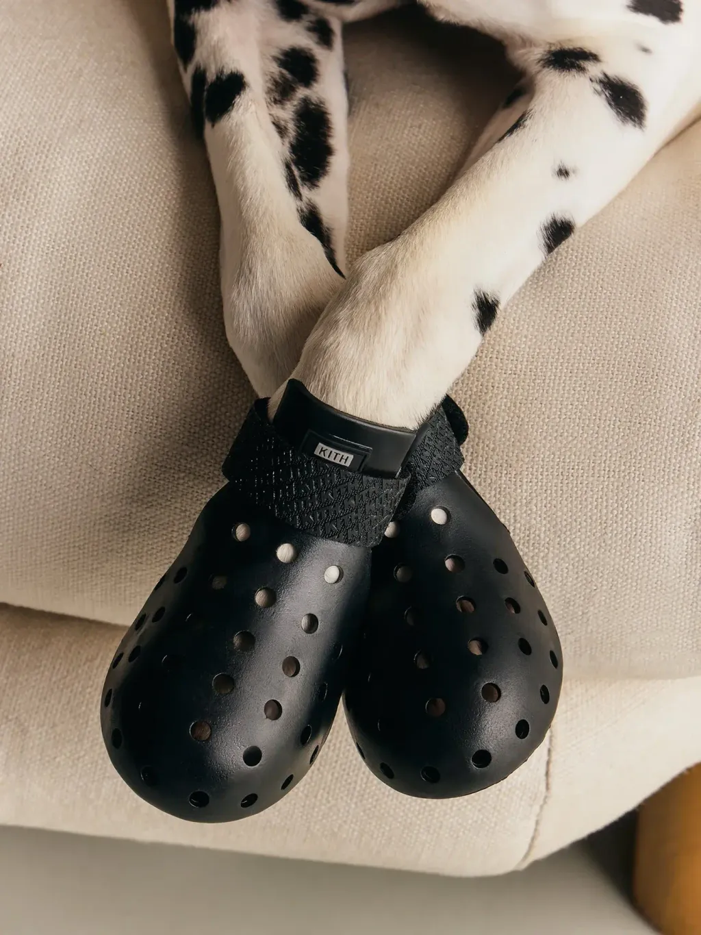 image_85AE510B-3974-4AF2-B53E-D36E86EC0320_1777199718