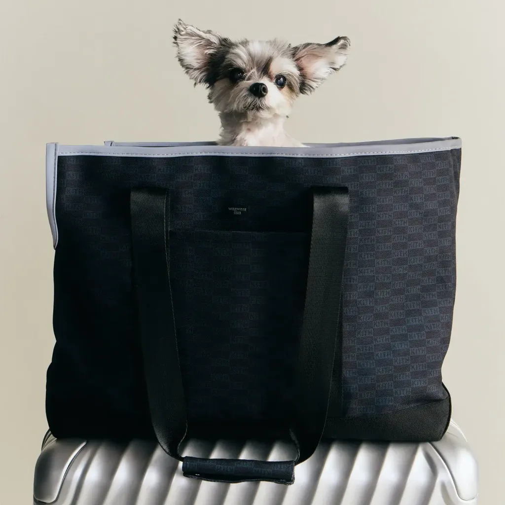 image_854660DD-DEFF-48CB-9578-71CBC3546336_1777199718