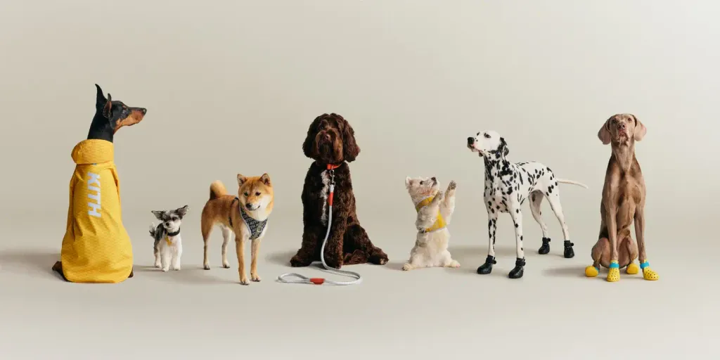 image_E13ADFE7-1F28-412D-965A-D54C16583CE2_1777199718