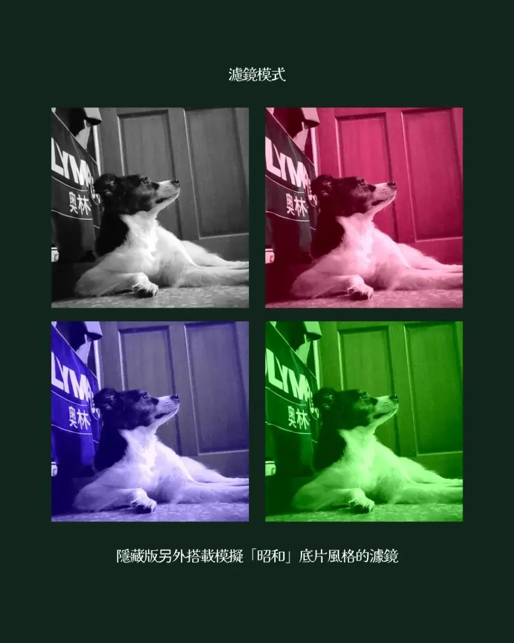 image_45A4F3B6-5589-41B2-8D71-42722DB45580_1779285172