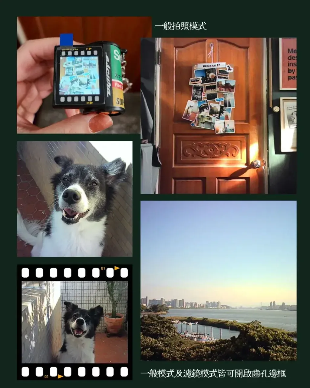 image_62022FE1-72B0-4B42-9FEC-AB4DCEF6845B_1779285172
