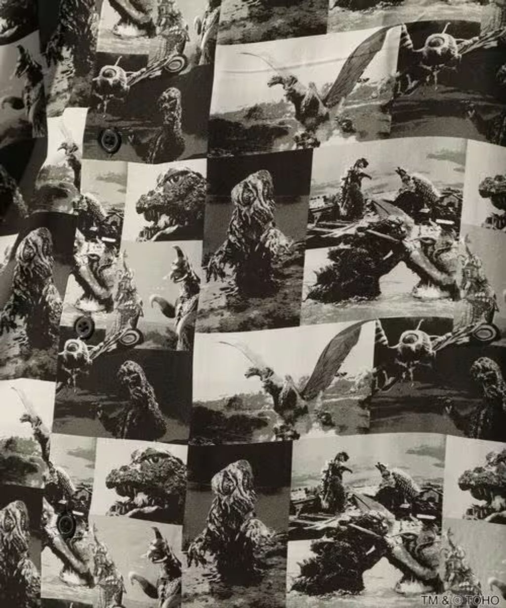 image_C625D790-32D4-461F-AB04-4A2FBEC465A3_1785212306