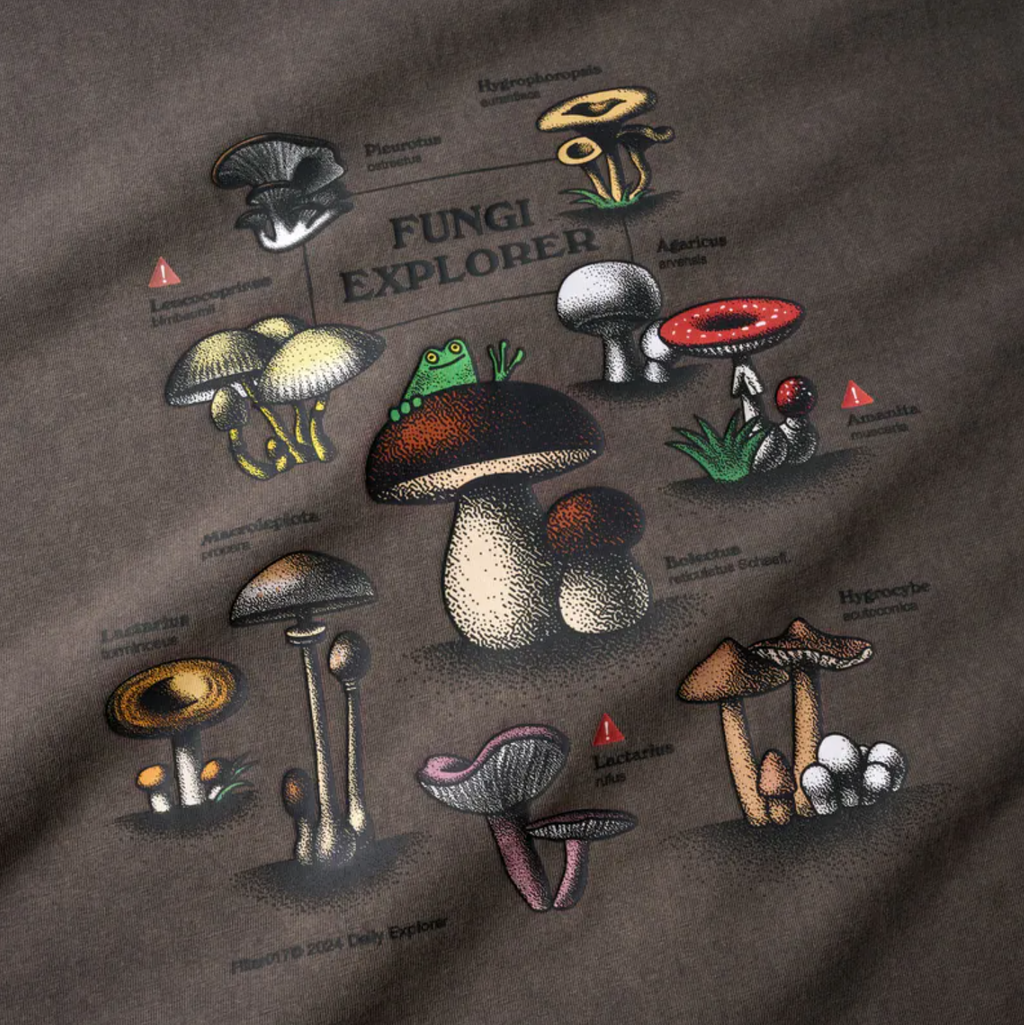 截圖 2025-01-18 下午4.29.14