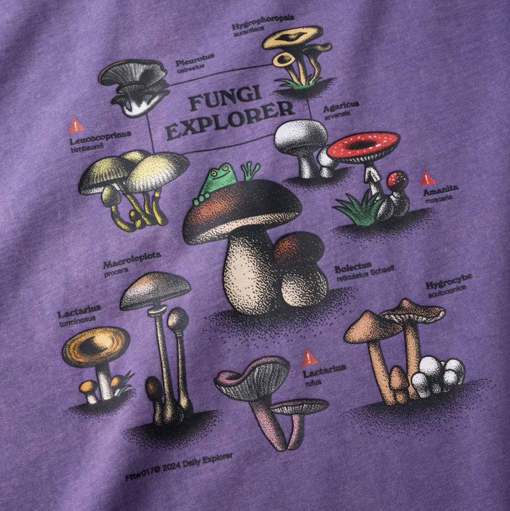 截圖 2025-01-18 下午4.28.53