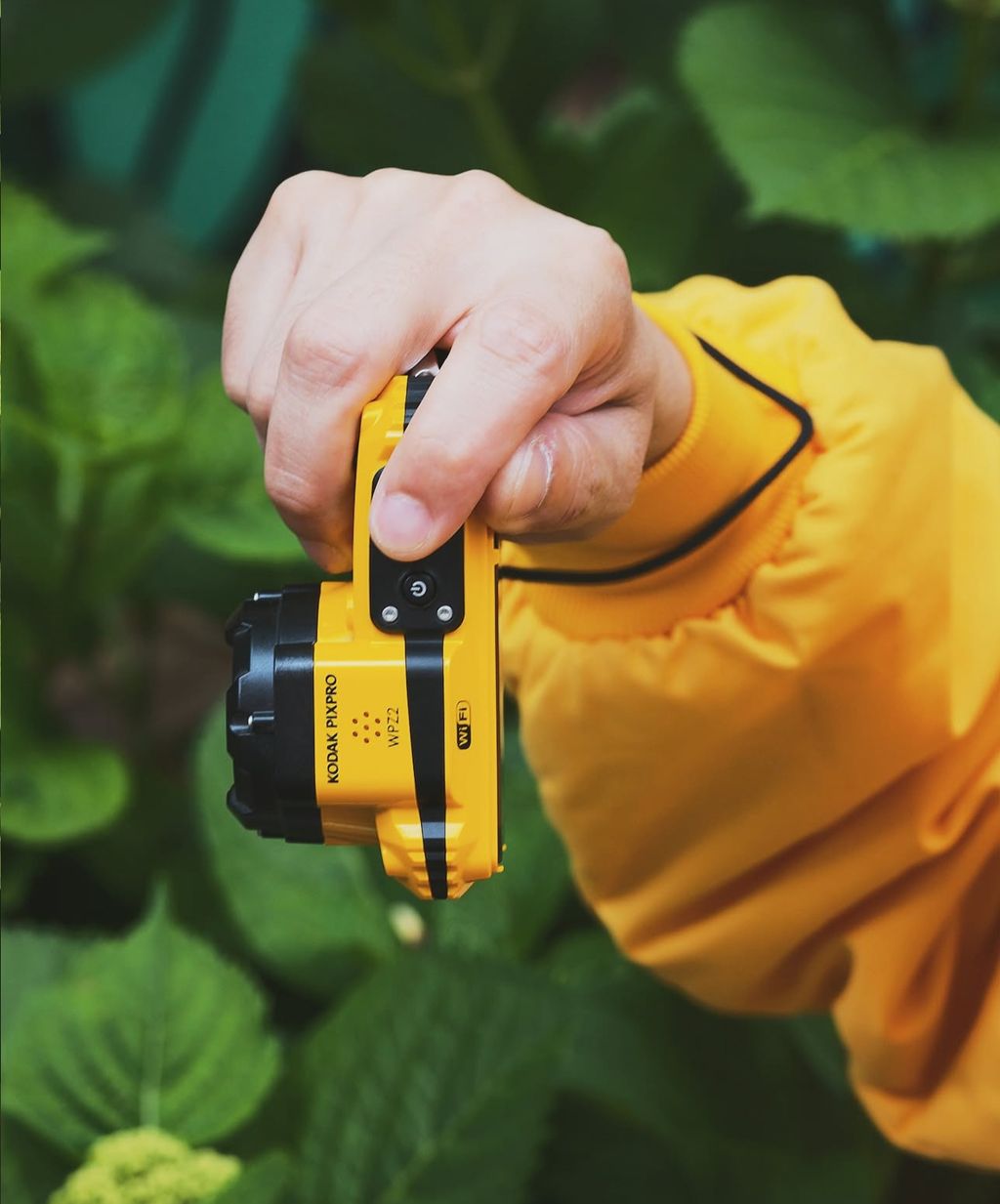 image_8FE7AE26-3AF1-4DA5-9DBE-23EFEE05C41E_1756799468