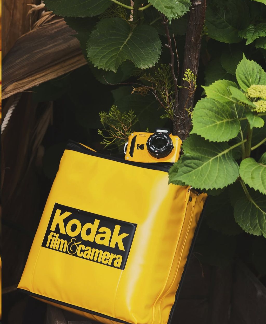 image_7C3A2F84-F00E-4A05-81D8-126BCB7F9E79_1756799468