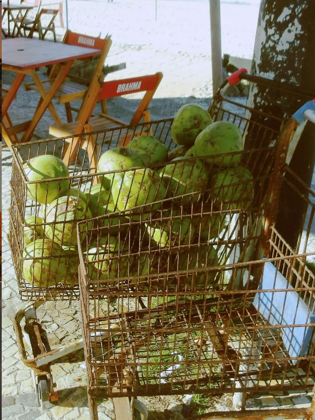 image_3D7447E3-F63F-4551-8B92-313E62060714_1756799468