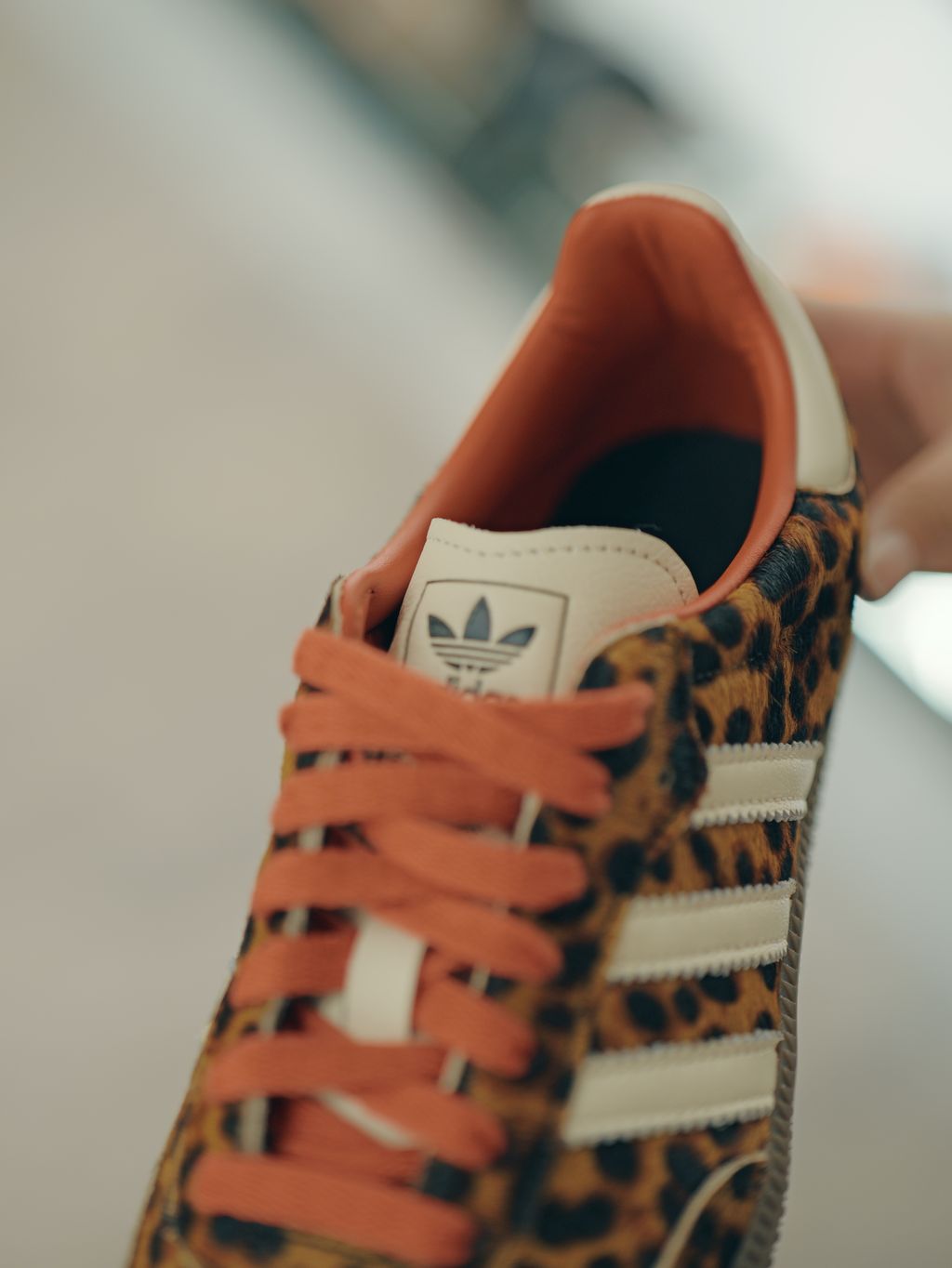 image_C458440B-4B5B-4EE9-98F2-AC8E7CA70F1B_1756877573