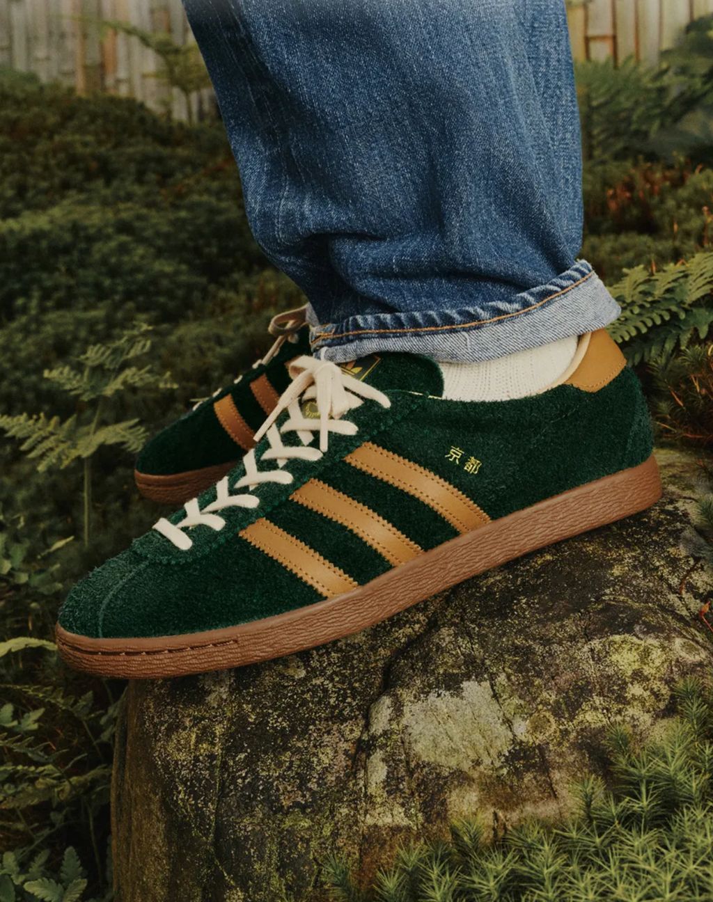 image_93F480FA-2F8A-4A91-BE8A-676AD13B1752_1764177255