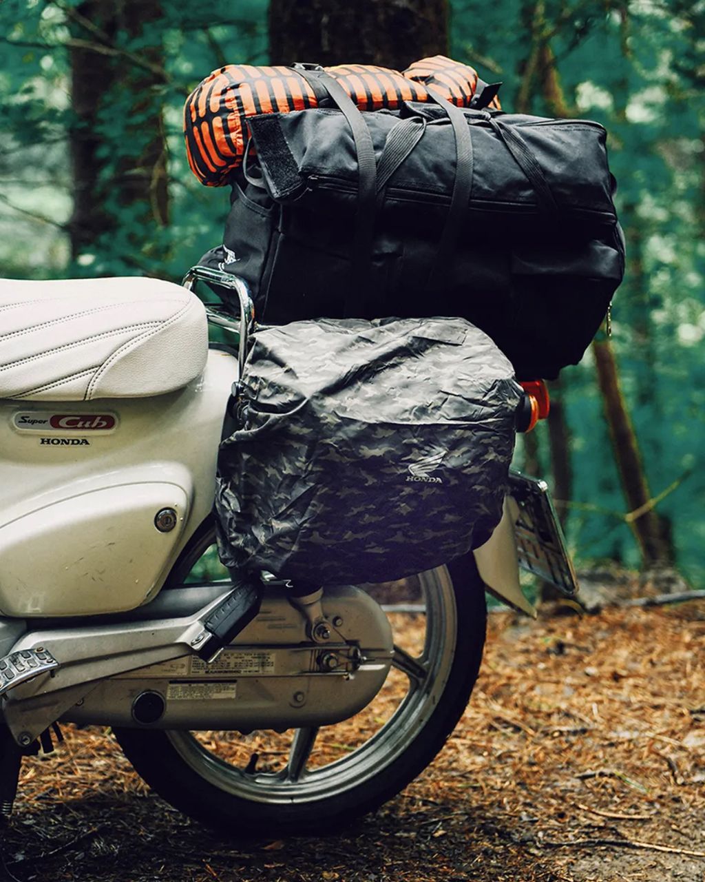 image_39AEA67F-A8DD-4351-849D-6C25D685DB50_1764255391