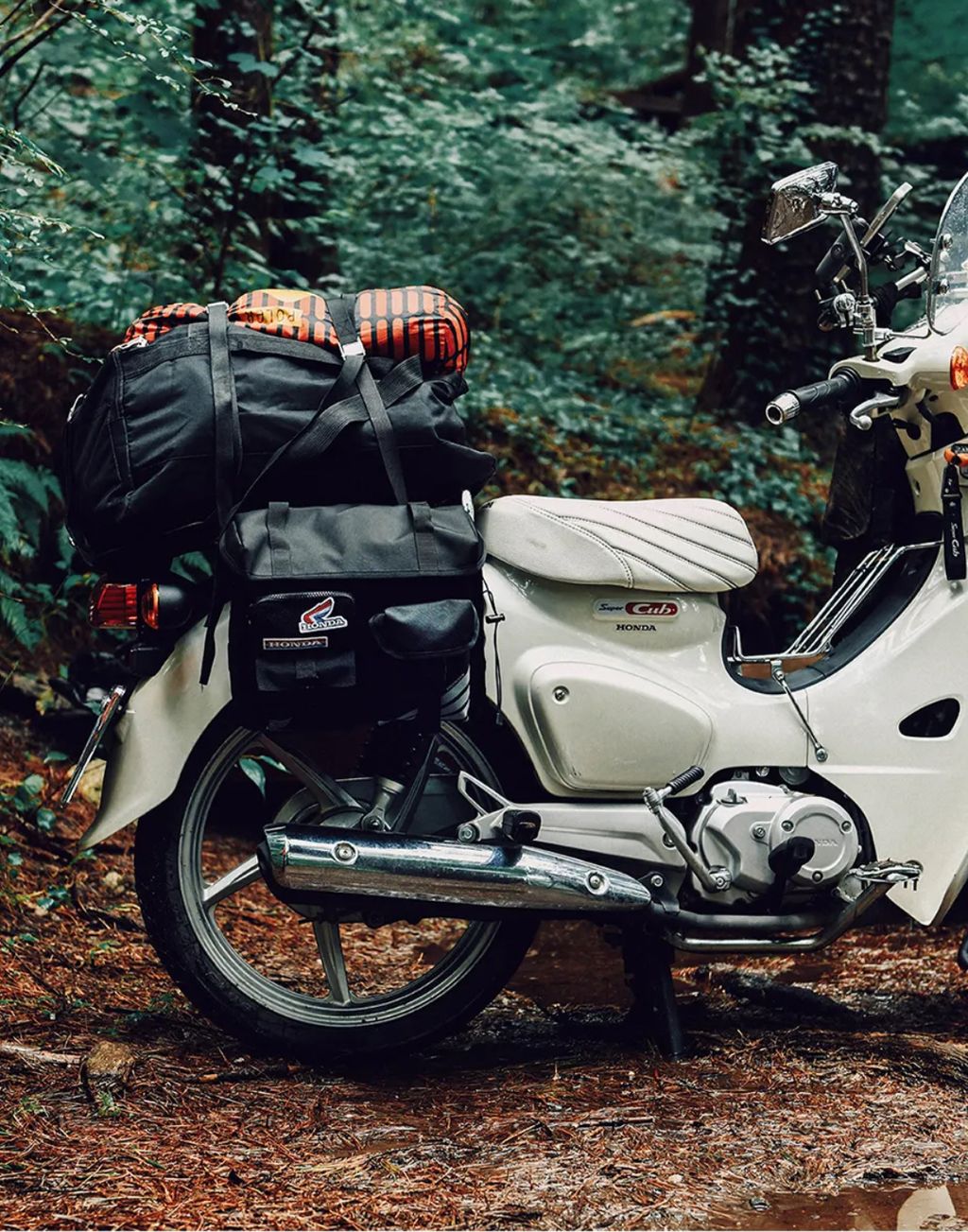 image_A300BE6B-A910-426A-81A3-C608516EDDD9_1764255391