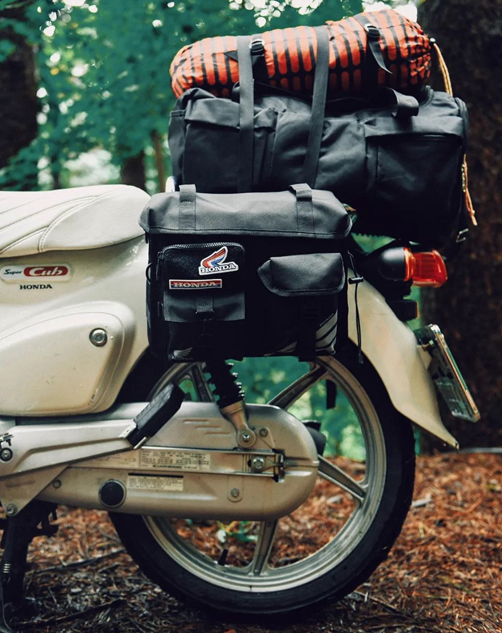 image_4614C017-E747-4CF1-9704-C33FD59D6AD0_1764255391