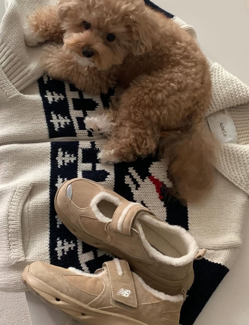 image_F8E73AAB-25FF-472C-9BE7-6E4721D1878F_1764398658