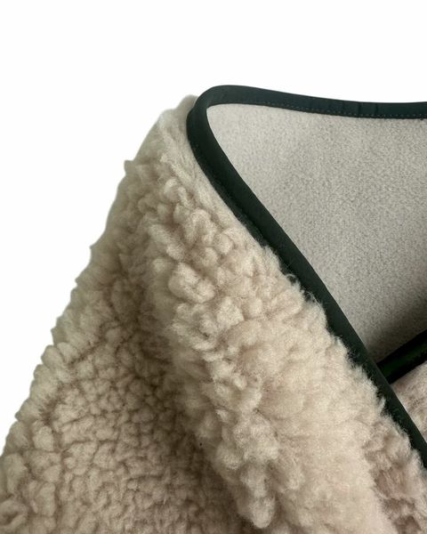 image_F1F59888-E0A0-47D5-851B-5AADEA20E906_1765724836