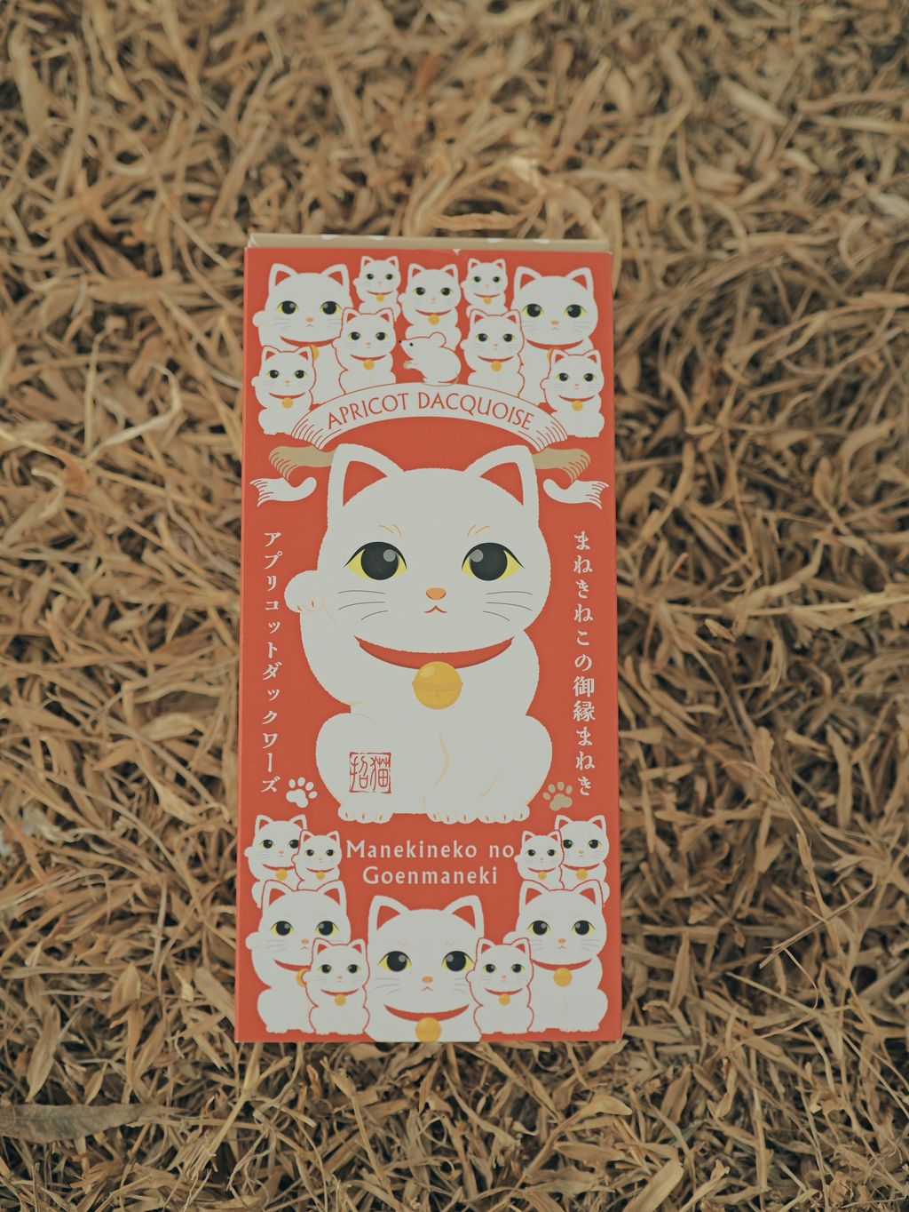 image_3270E63C-6945-4CCD-A5CA-3300BC998D96_1767534010