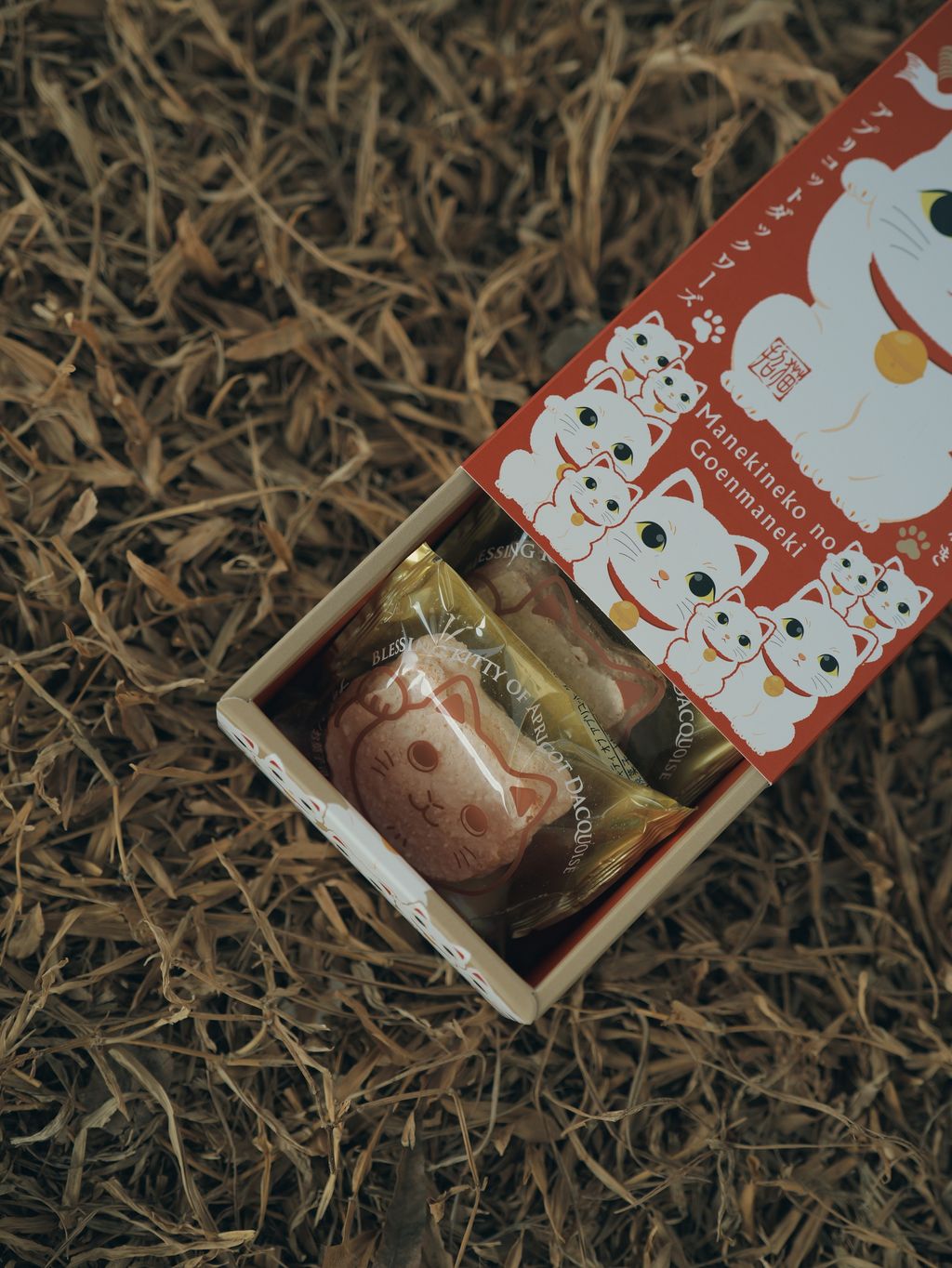 image_F5A68F57-787E-40C8-A40D-3401EE199467_1767534010