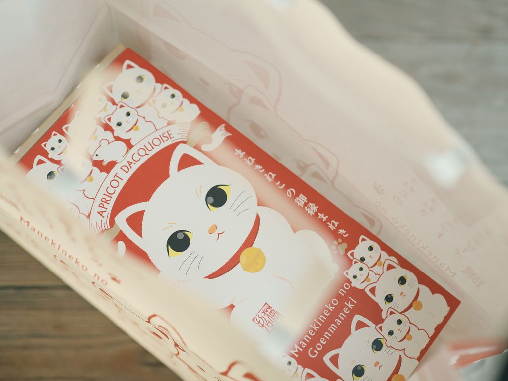 image_571E3A06-1E89-4BB6-BC96-22F33C1138F9_1767534010