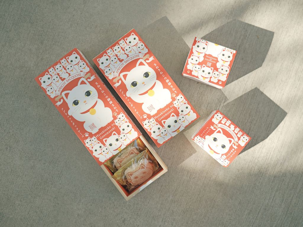 image_A95C16B7-3019-4BE9-A3EB-2FDE89162F96_1767534010