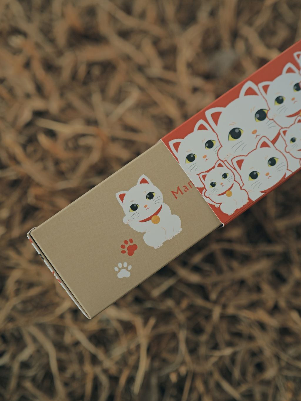 image_B3824AD5-73F8-4965-AE21-7BC5AEAFB40C_1767534010