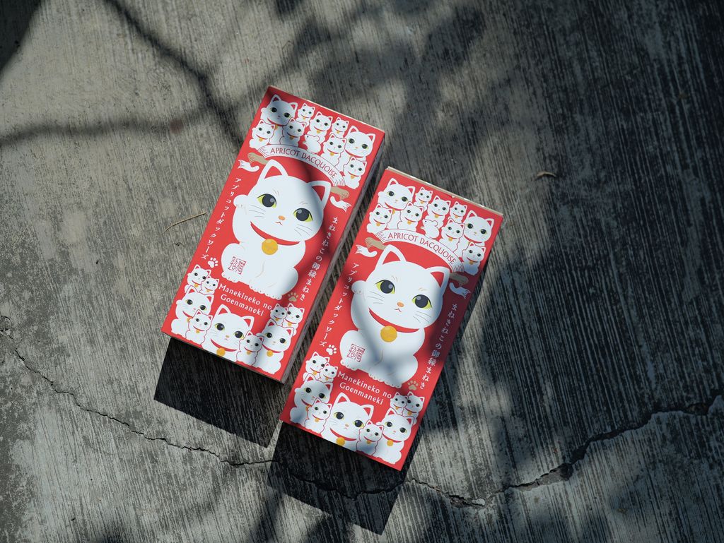 image_BC1038EB-C163-4550-A7F4-CC1A225F26E1_1767534010