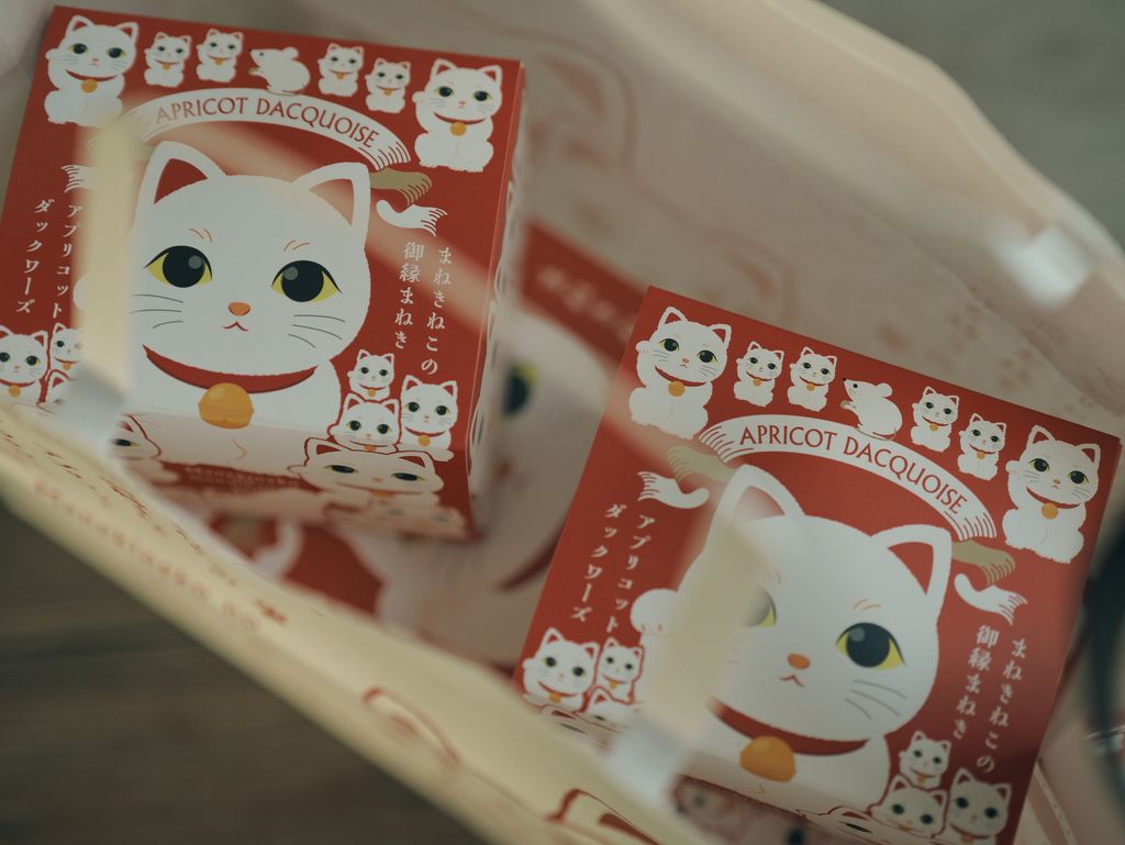 image_42560E1C-3601-44E5-852F-2A645BC5E8F3_1767534010