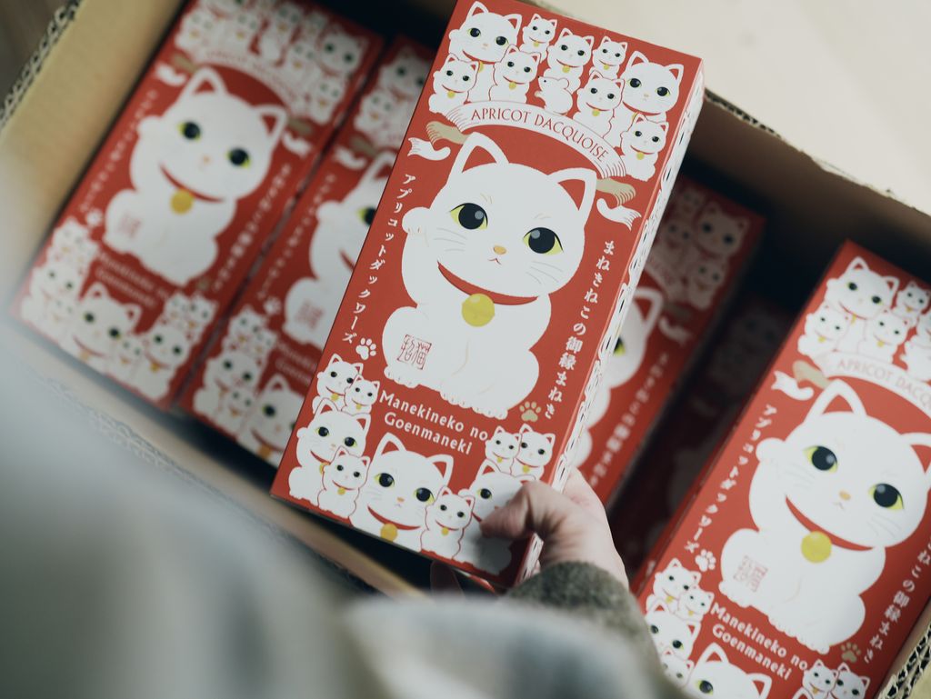 image_2FC5D81E-F415-450E-A09F-63173885B5D6_1768041942