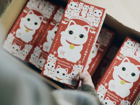 image_2FC5D81E-F415-450E-A09F-63173885B5D6_1768041942