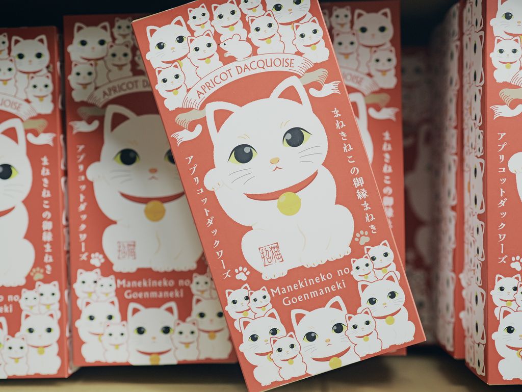 image_757C124A-2CDF-47DB-8F71-956FF57AE04E_1768041942