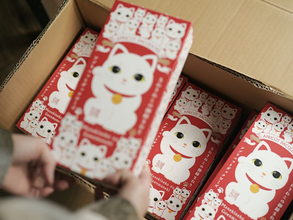 image_3CC5DF62-09EF-4FAC-98A2-C6F8125622D1_1768041942